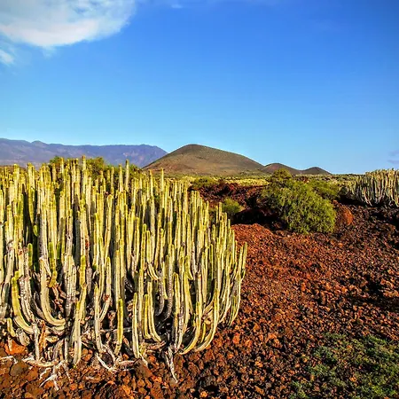 Casa La Vera * Güimar